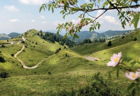 Avviso di chiusura estiva