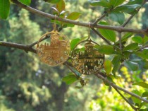 damini orafi in asolo